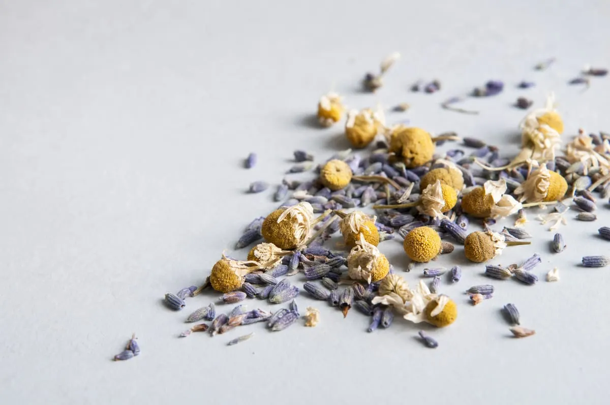 Dried chamomile flowers and lavender buds