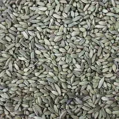 Cardamom Whole Green Pods